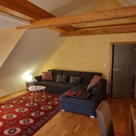 Apartment Mittelpunkt - Kaufmann Sankt Stefan ob Leoben Kültér fotó